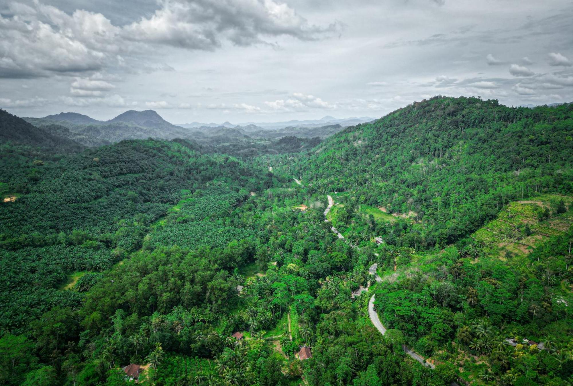 Singharaja Garden Agro Eco Lodge Pelawatta  ภายนอก รูปภาพ