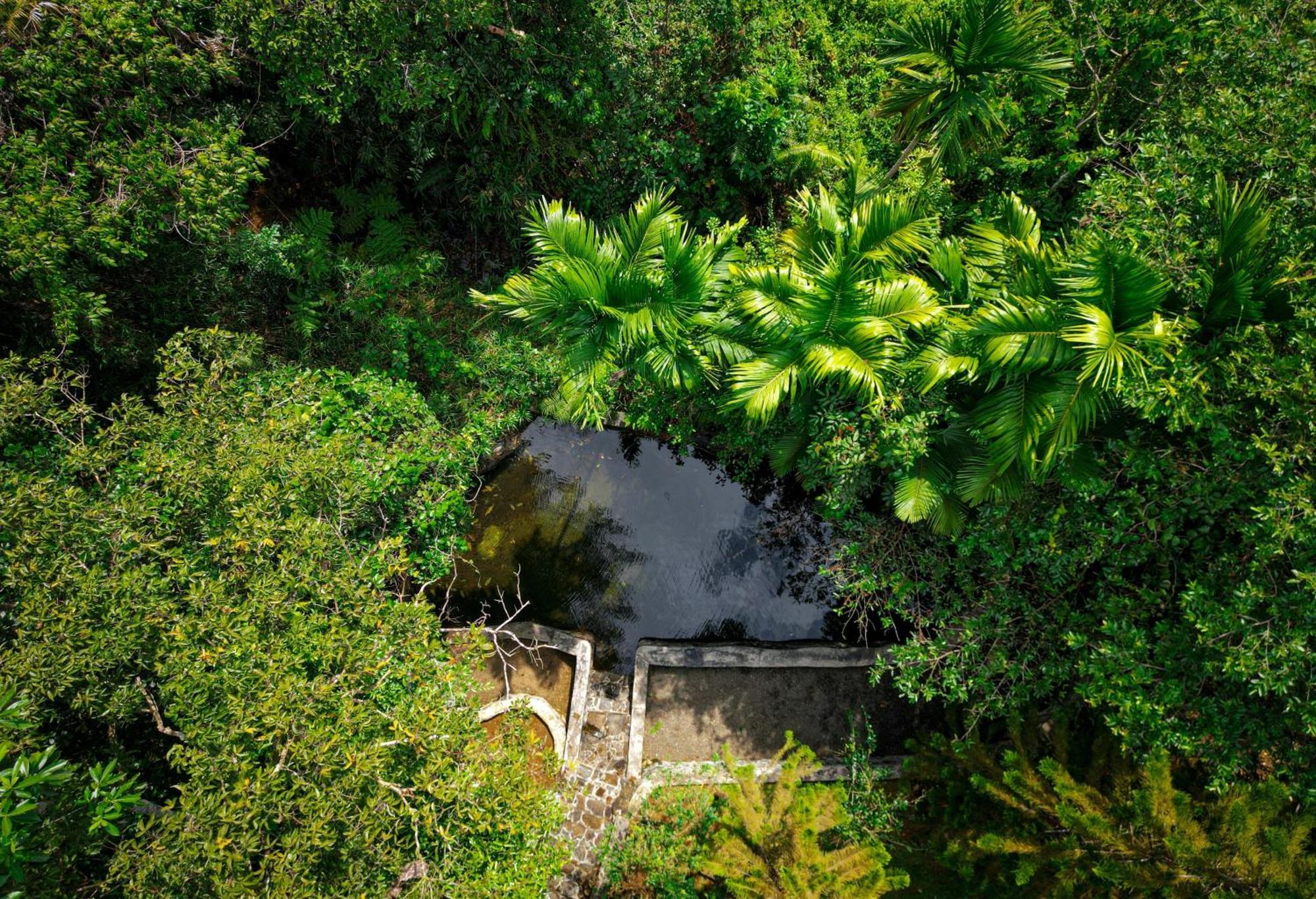 Singharaja Garden Agro Eco Lodge Pelawatta  ภายนอก รูปภาพ