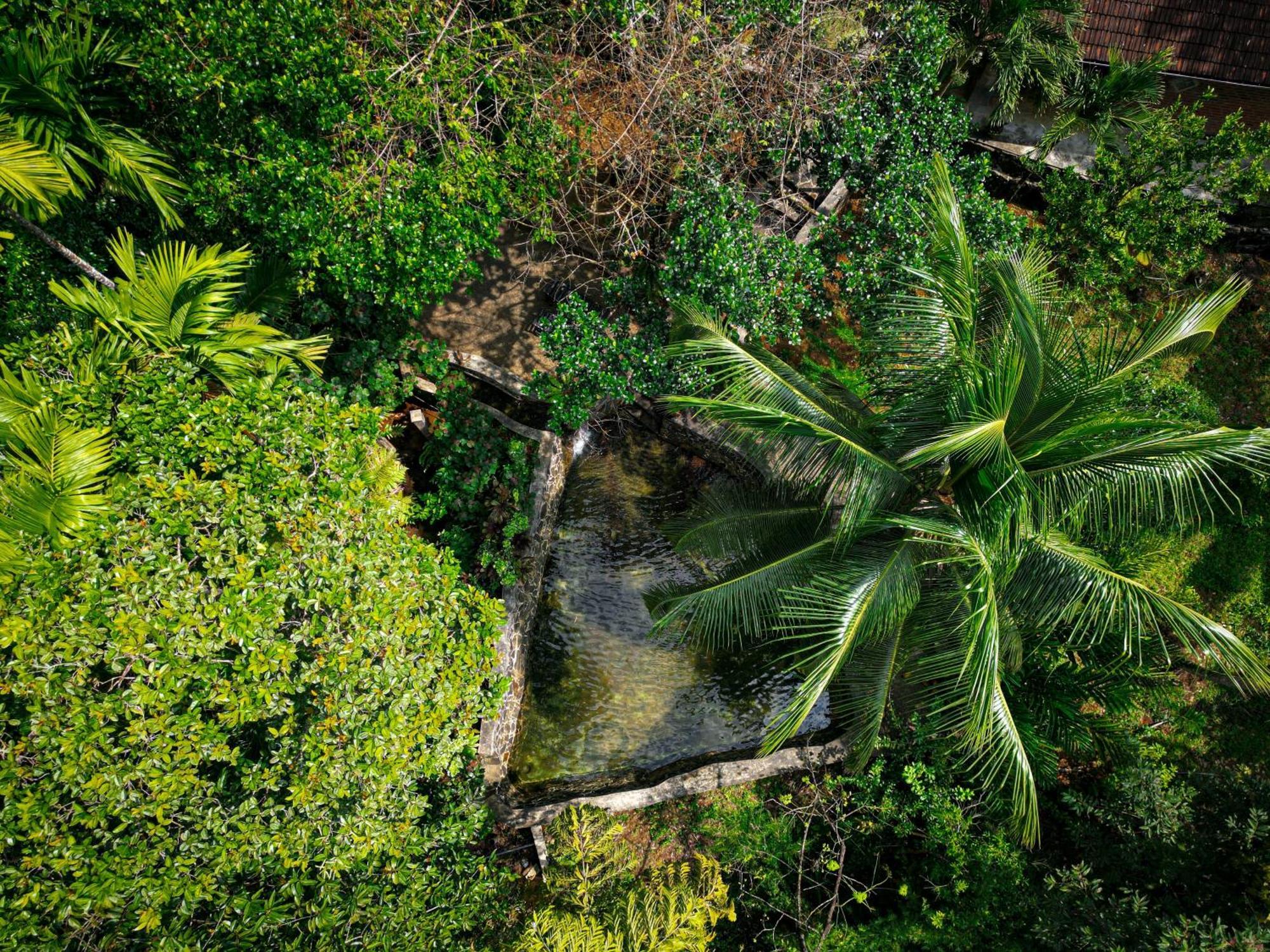 Singharaja Garden Agro Eco Lodge Pelawatta  ภายนอก รูปภาพ