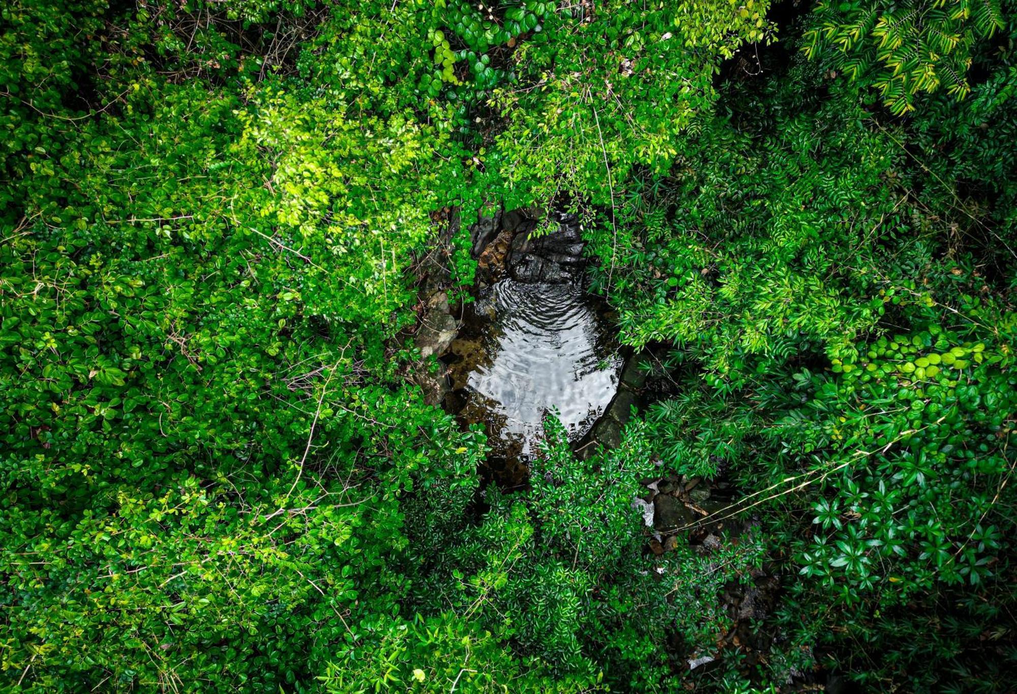 Singharaja Garden Agro Eco Lodge Pelawatta  ภายนอก รูปภาพ